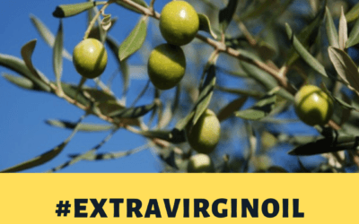 Perché scegliere l’olio extravergine d’oliva?